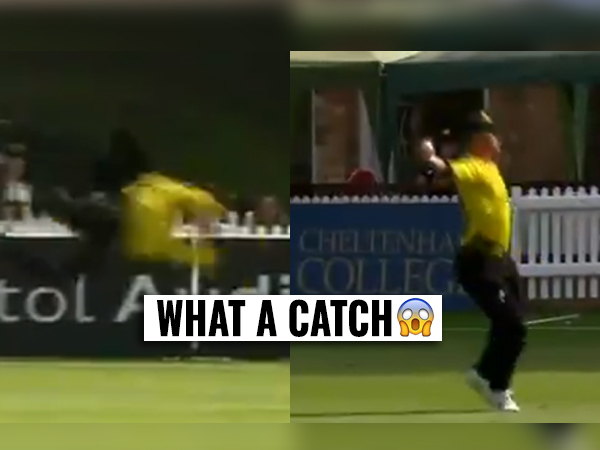 Picture Credit: Twitter