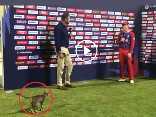 Picture Credit: Twitter