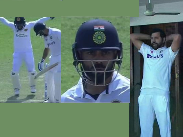 Picture Credit: Twitter