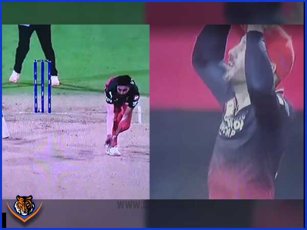 Picture Credit: Twitter