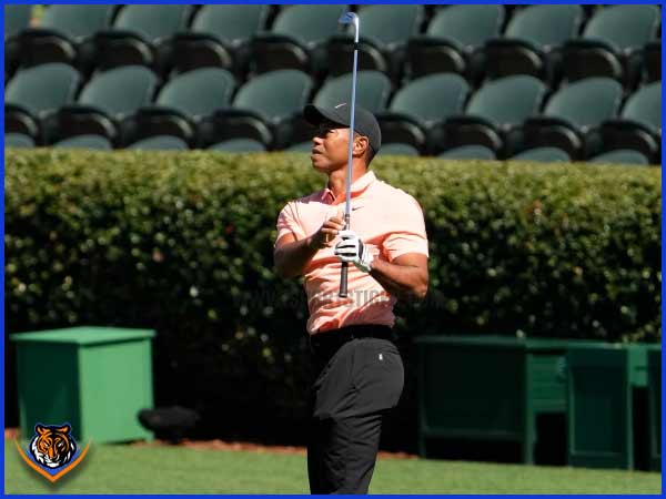 Picture Credit: Twitter