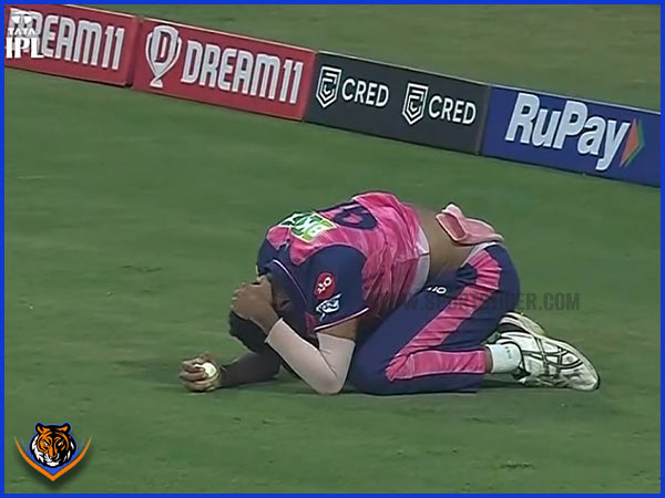 Picture Credit: Twitter