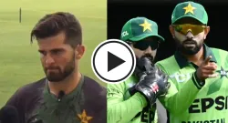 afridi babar rizwan sportstiger