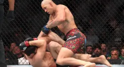 alex pereira stuns magomed ankalaev with tko at ufc 320 to regain light heavyweight title sportstiger