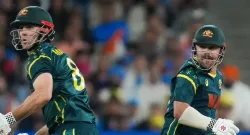 australia vs india sportstiger