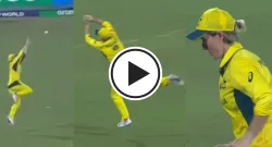 beth moony sportstiger