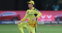 bravis catch ipl 2026