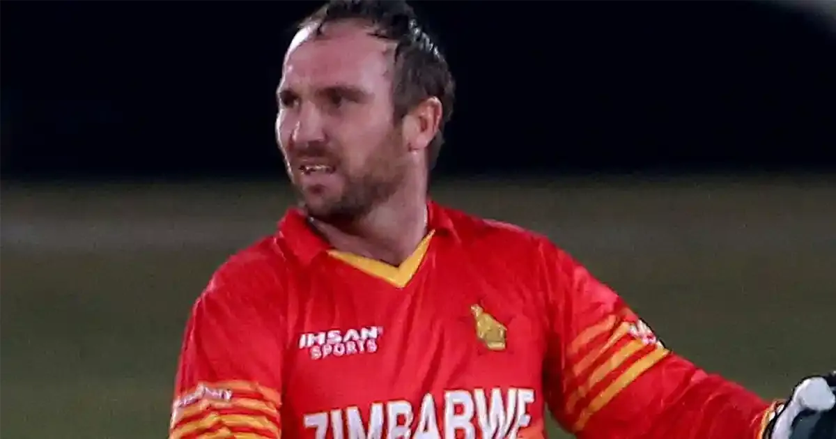 brendan taylor sportstigiger