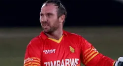 brendan taylor sportstigiger
