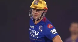 cameron green sportstiger