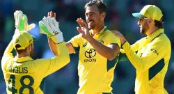 cricket australia announces odi and t20i squads for white ball series against india sportstiger