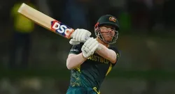 david warner 134 24