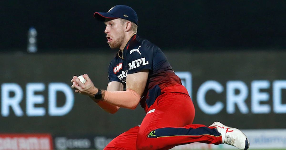 david willey sportstiger