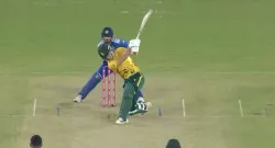 dewald brevis
