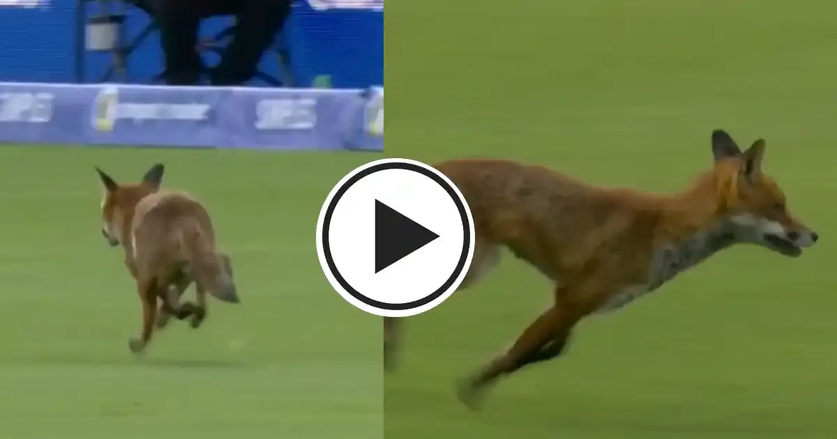 fox interrupts london spirit vs oval invincibles the hundred 2025 opening match at the lord s