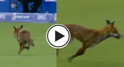 fox interrupts london spirit vs oval invincibles the hundred 2025 opening match at the lord s