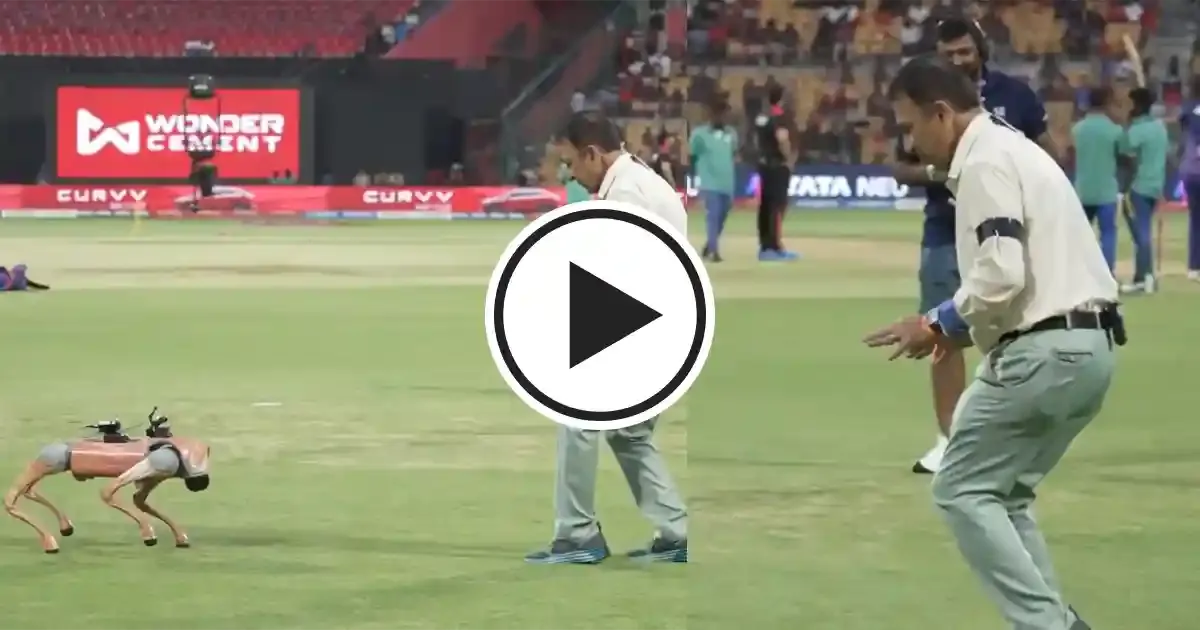 gavaskar sportstiger