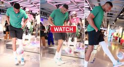 giannis keep ups sportstiger