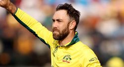 glenn maxwell aus vs nz odi wc