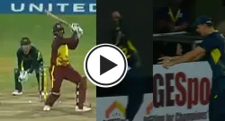 glenn maxwell catch