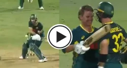 glenn maxwell guides australia to two wicket win vs south africa in brisbane t20i