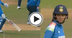harleen deol sportstiger