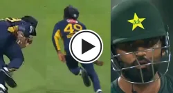 hasranga sportstiger