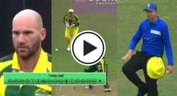 john hastings sportstiger