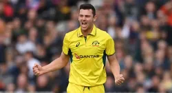 josh hazlewood t20 world cup ruled out