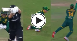 laura wolvaardt sportstiger