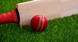 leg bye vs byes in cricket