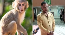 monkeys away at bwf world championships 2026