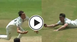 pat cummins grabs one handed stunner to get rid of kaecy carty in grenada test