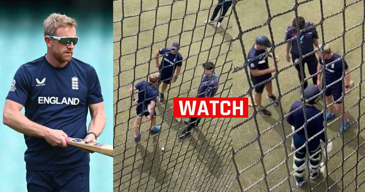 paul-collingwood-sportstiger