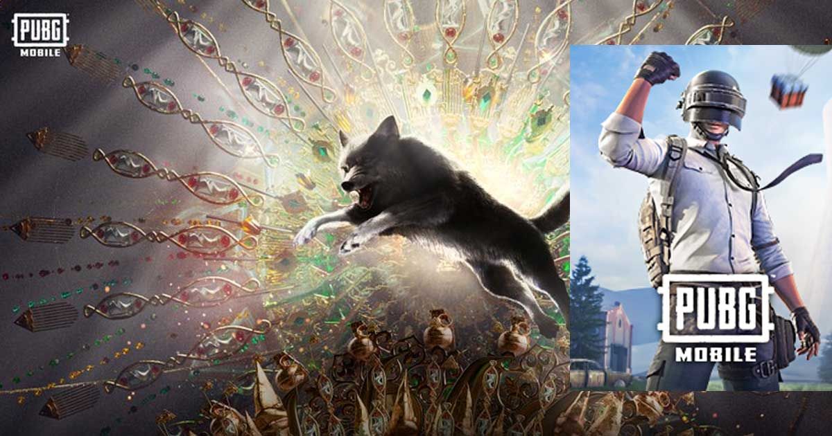 Picture Credit: Twitter