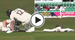 rothesay county championship sportstiger