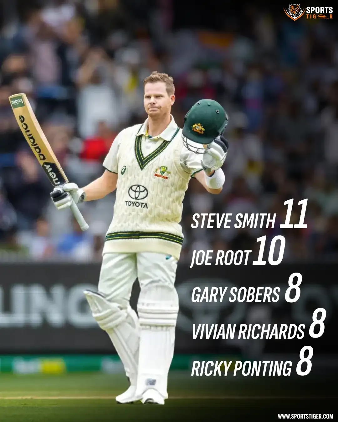 steve smith infographic steve smith infographic