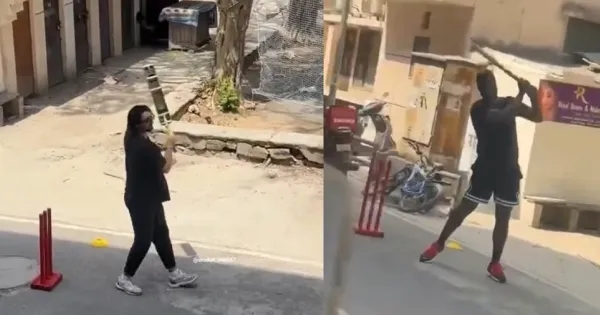 tim david romario shepherd gully cricket