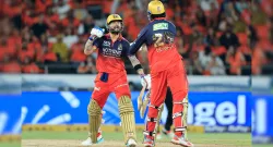 venkatesh iyer on virat kohli