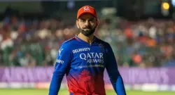 virat kohli rcb sportstiger