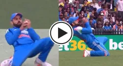 virat kohli takes sharp catch at square leg to dismiss matthew short sportstiger