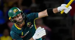 warming heady s seat until he comes back glenn maxwell divulges his t20i opener role is temporary sportstiger